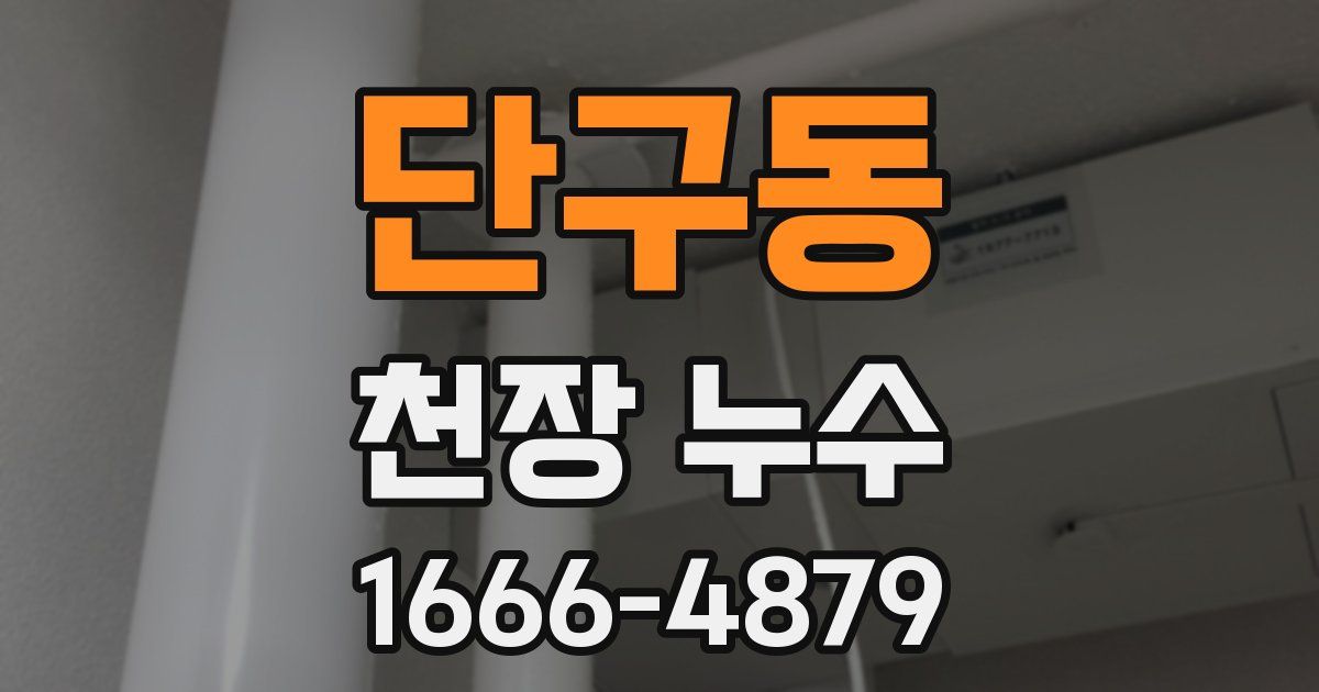 단구동 천장 누수