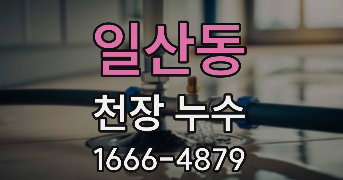 일산동 천장 누수