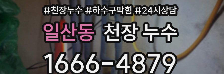 일산동 천장 누수