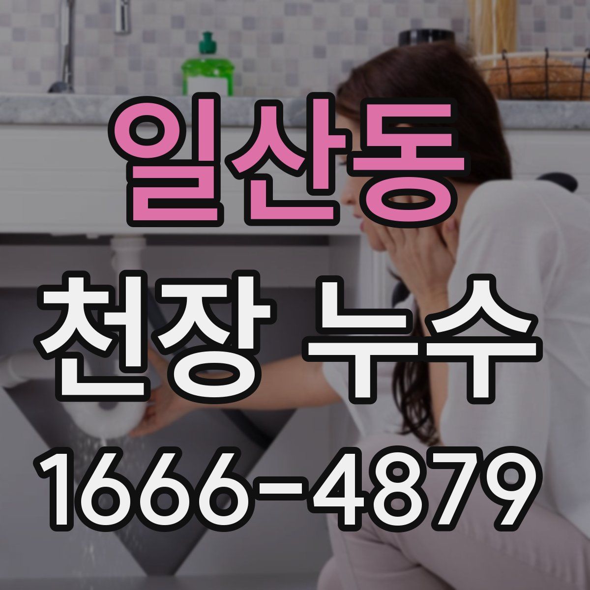 일산동 천장 누수