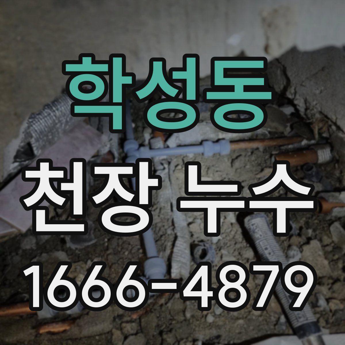 학성동 천장 누수