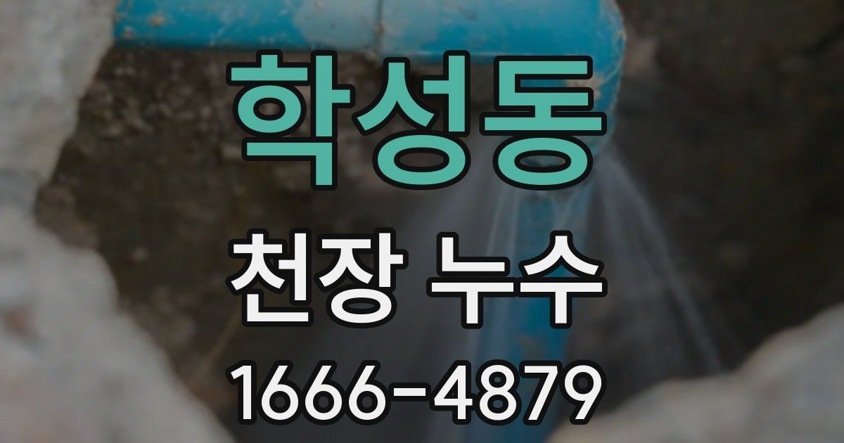 학성동 천장 누수