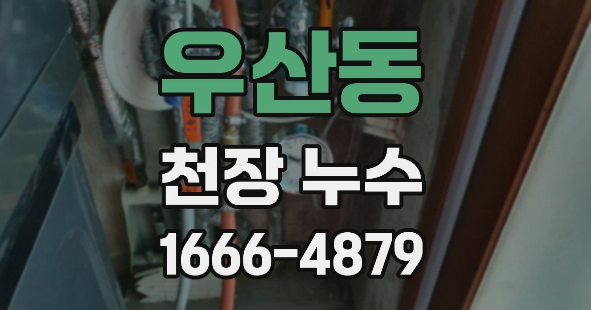 우산동 천장 누수