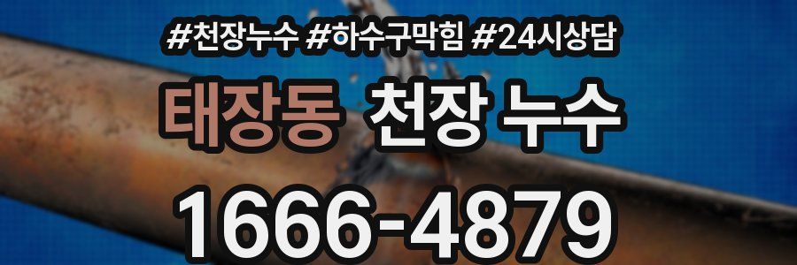 태장동 천장 누수