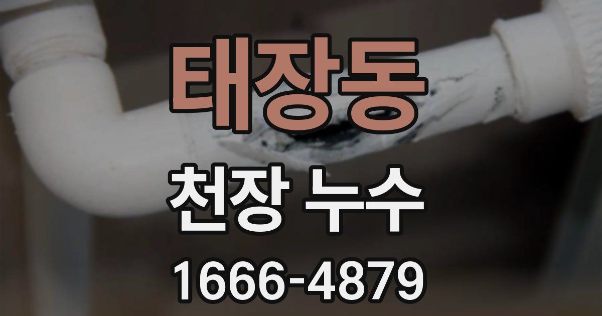 태장동 천장 누수