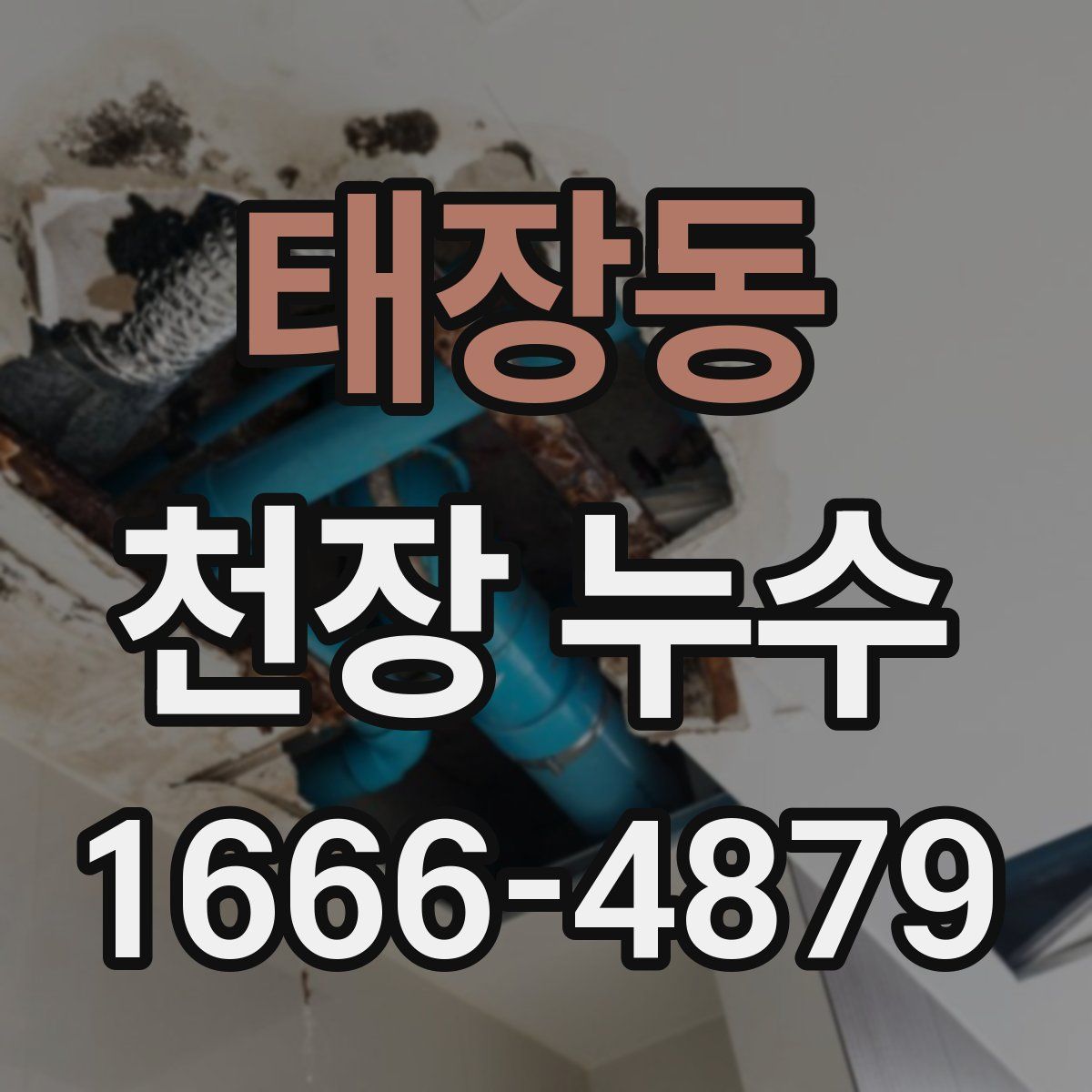 태장동 천장 누수