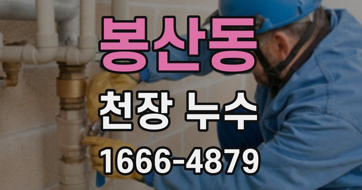 봉산동 천장 누수