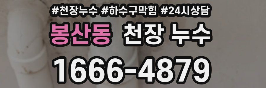 봉산동 천장 누수