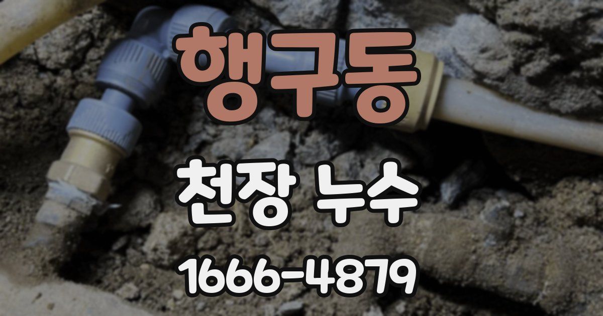 행구동 천장 누수