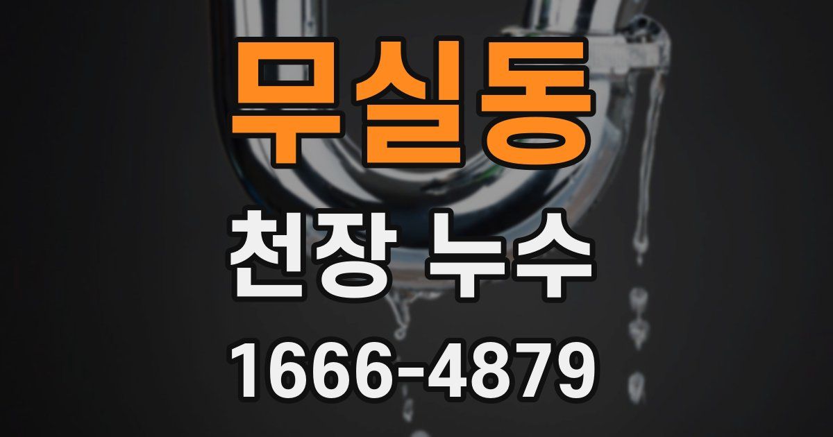 무실동 천장 누수