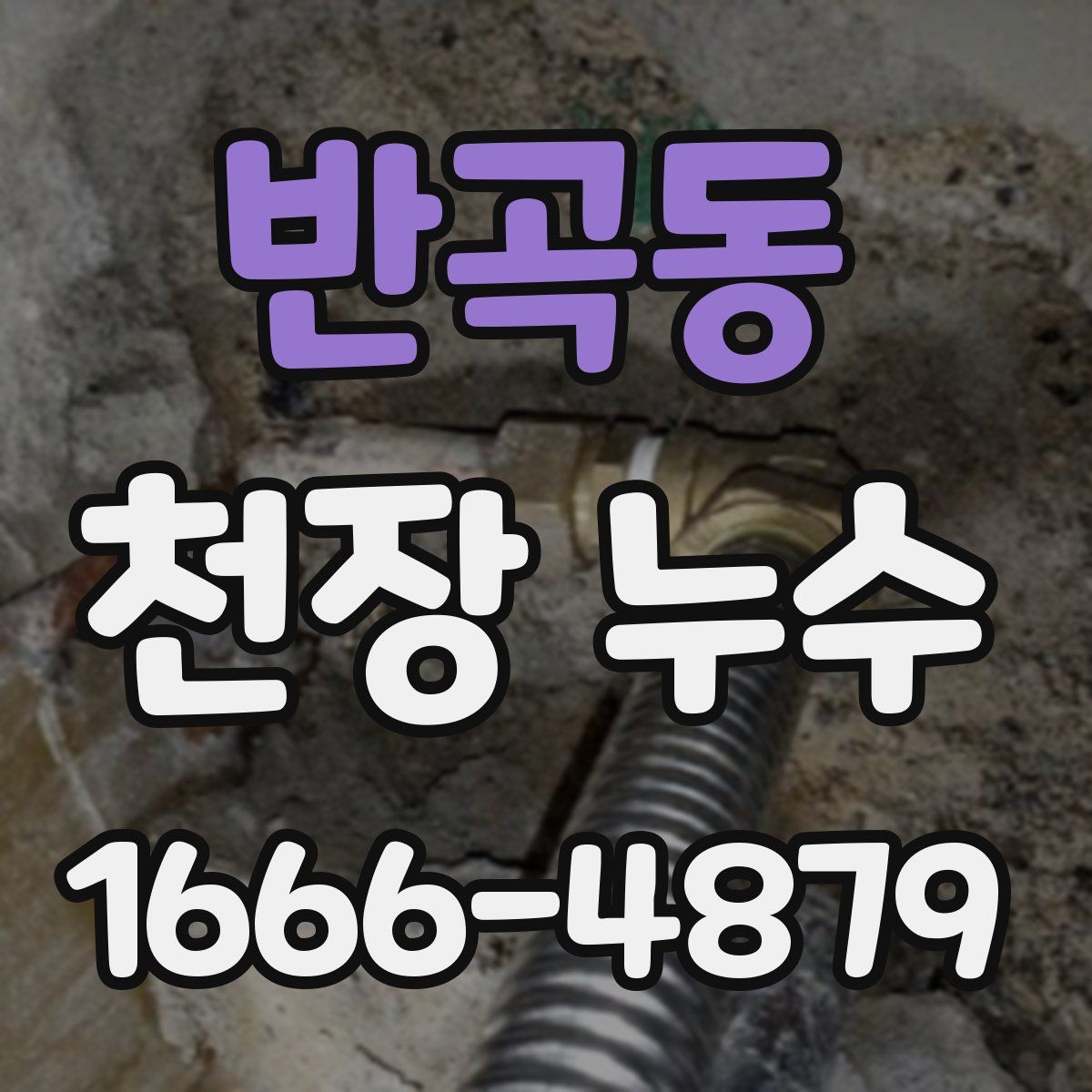 반곡동 천장 누수