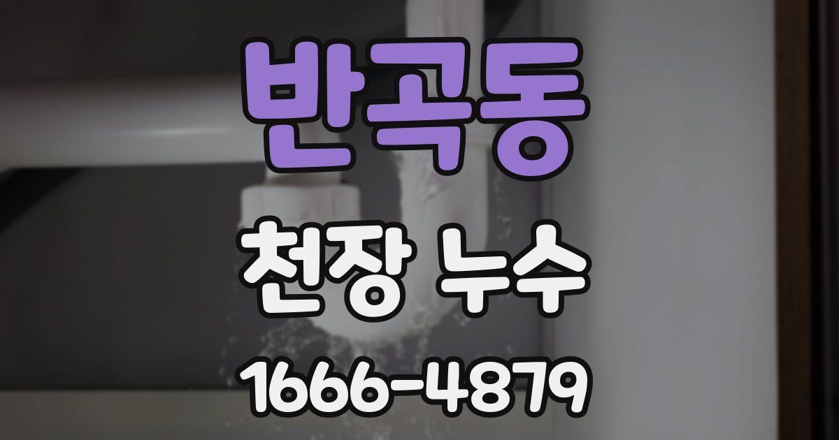 반곡동 천장 누수