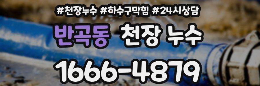 반곡동 천장 누수