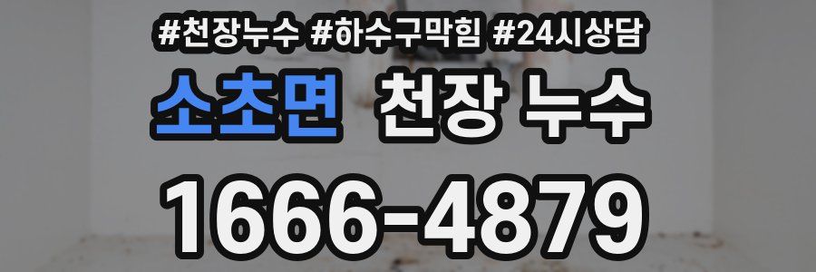 소초면 천장 누수