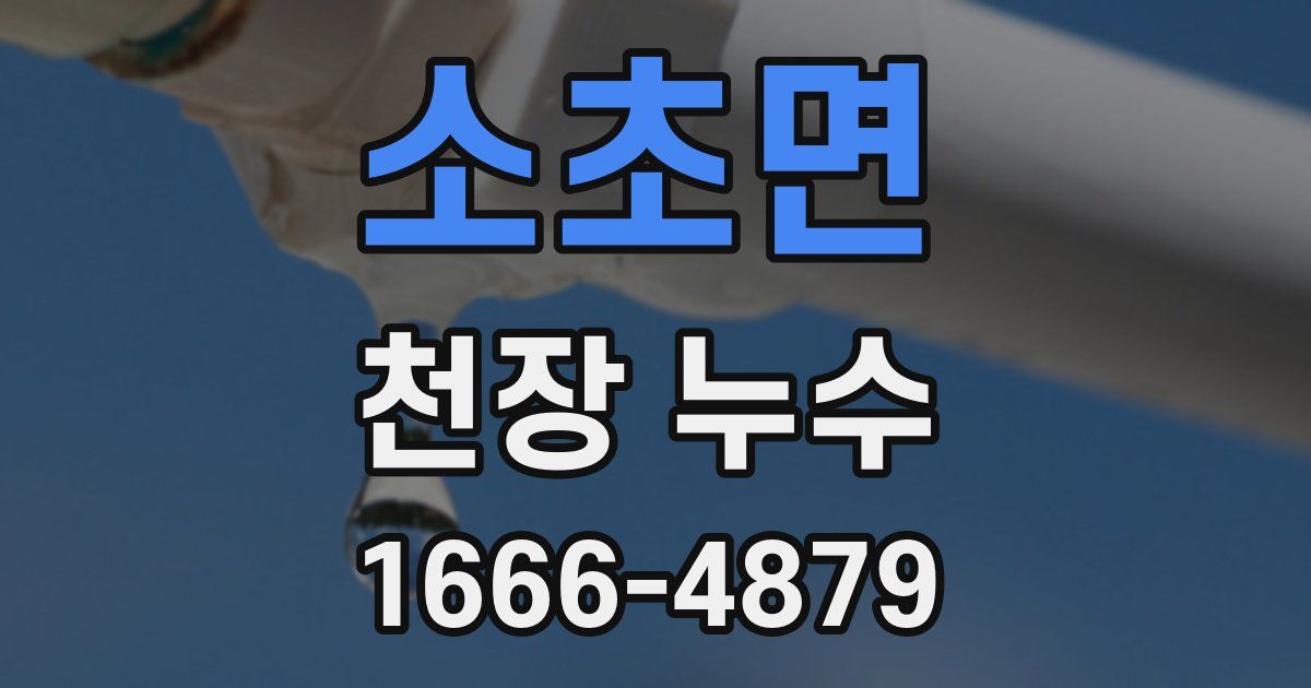소초면 천장 누수