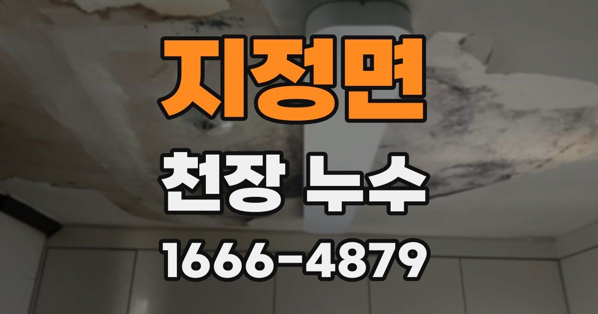 지정면 천장 누수