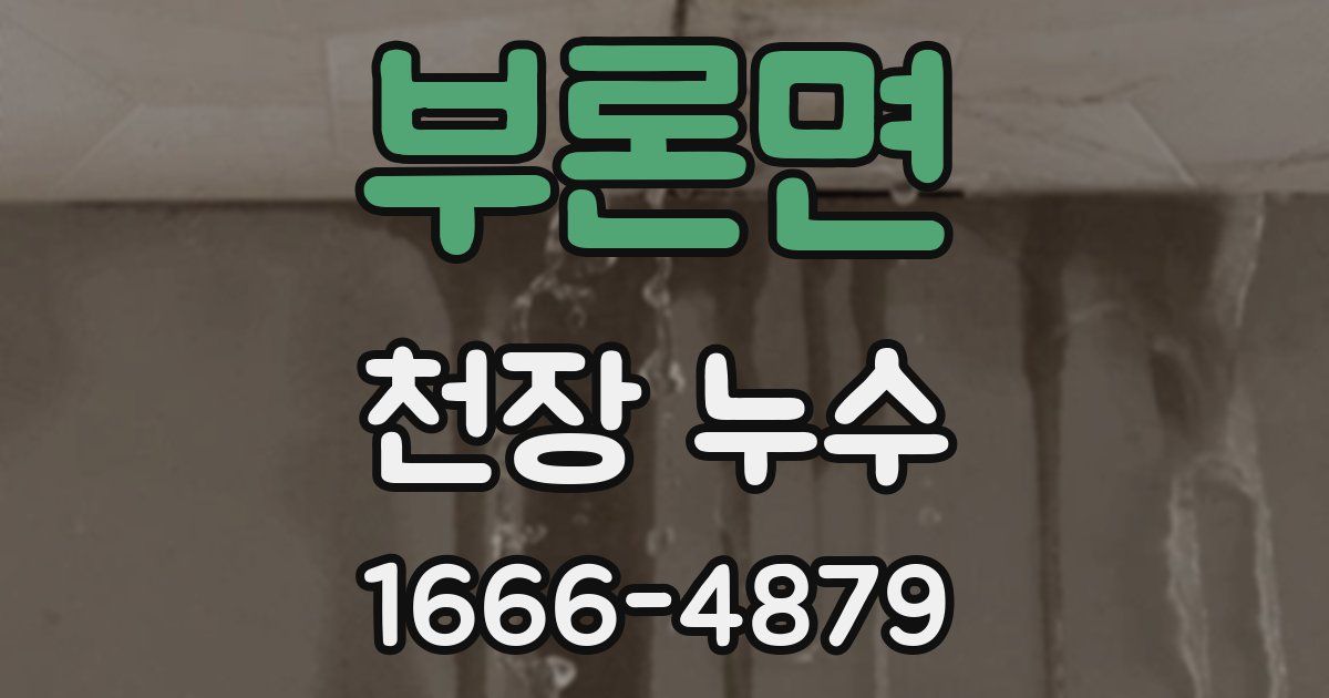 부론면 천장 누수