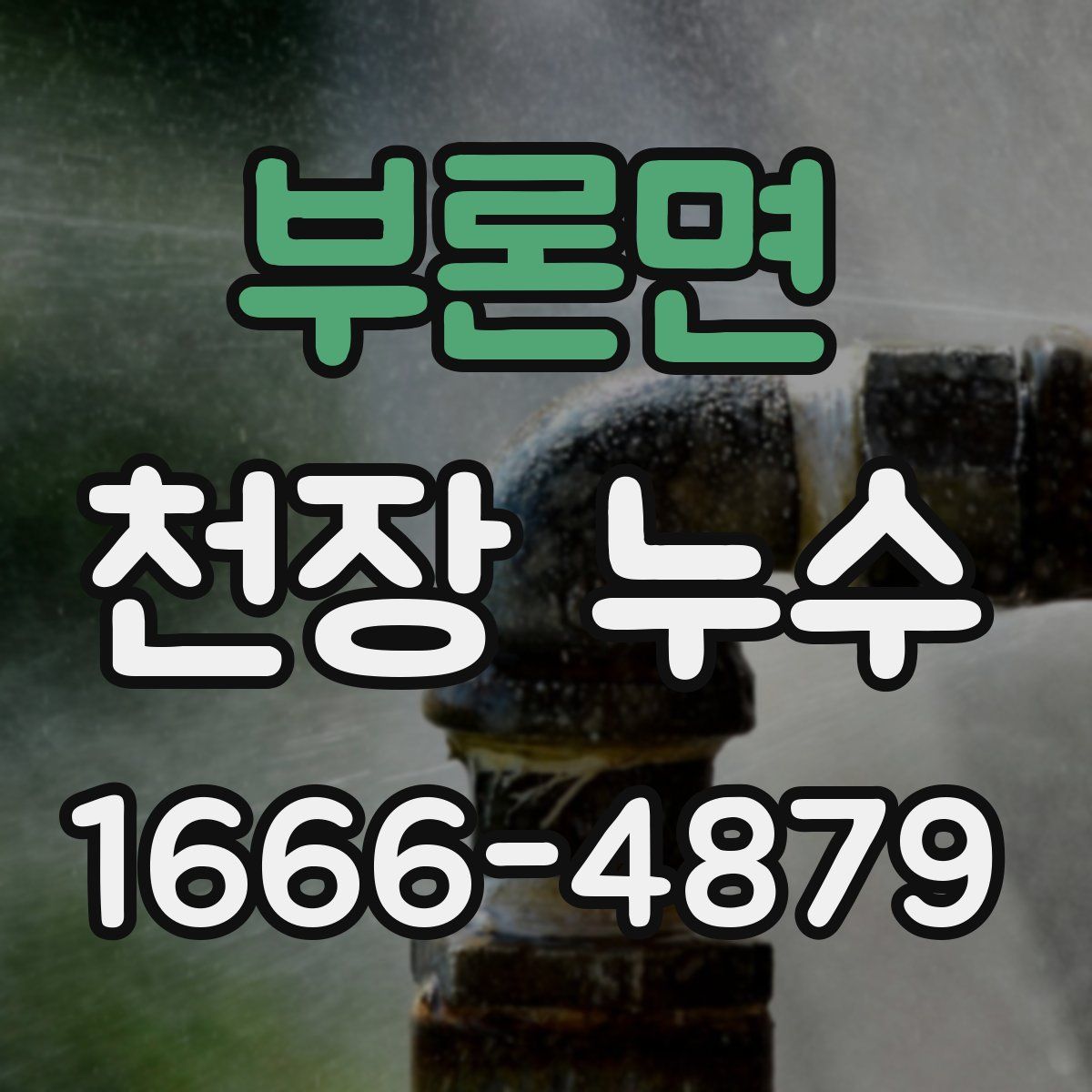 부론면 천장 누수