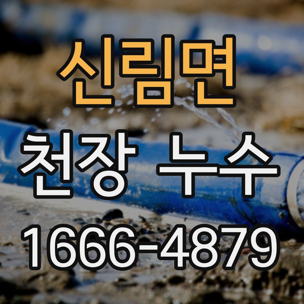 신림면 천장 누수