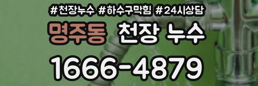 명주동 천장 누수