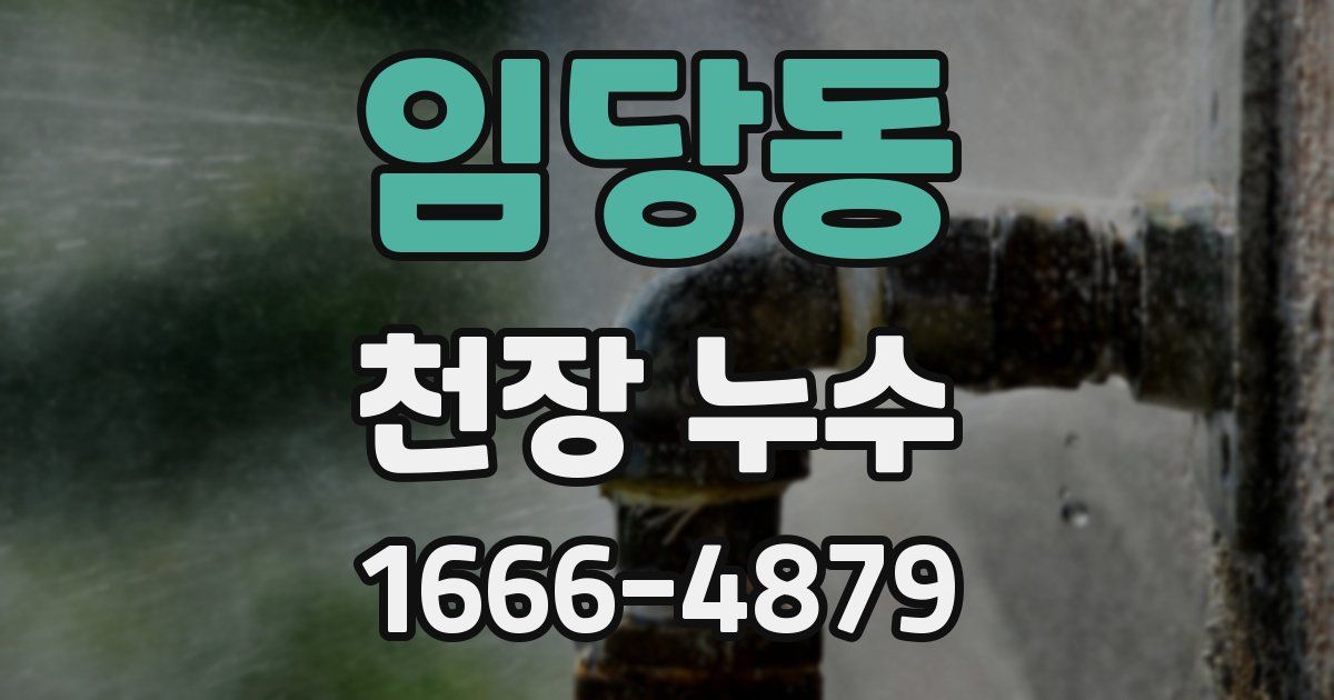 임당동 천장 누수