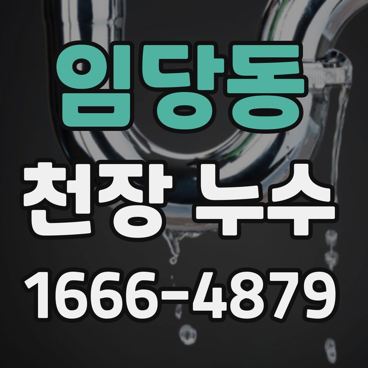 임당동 천장 누수