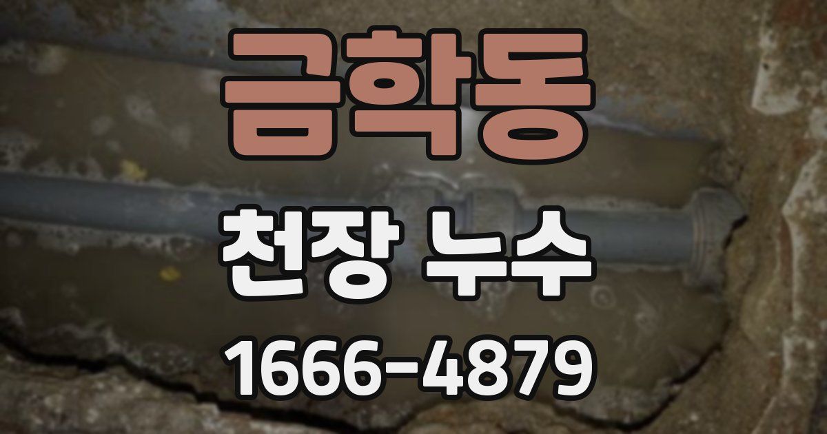 금학동 천장 누수