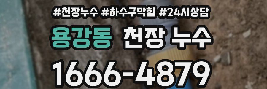 용강동 천장 누수