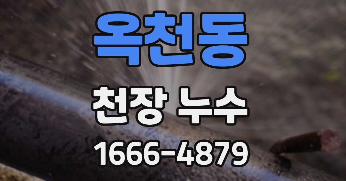 옥천동 천장 누수