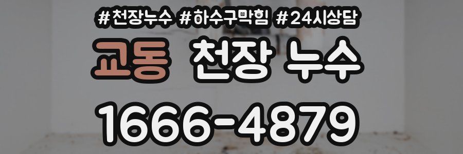 교동 천장 누수