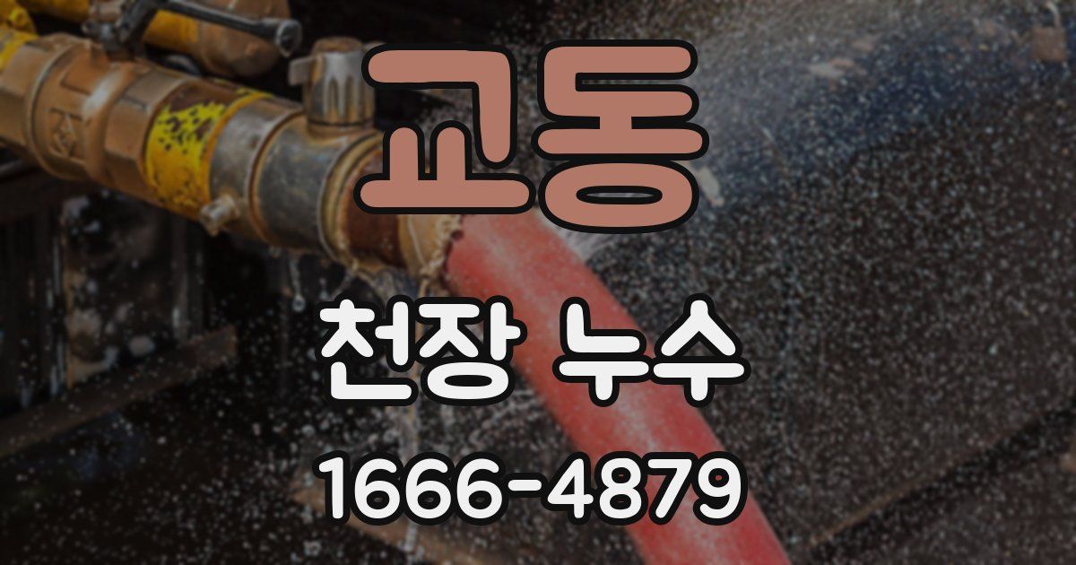 교동 천장 누수