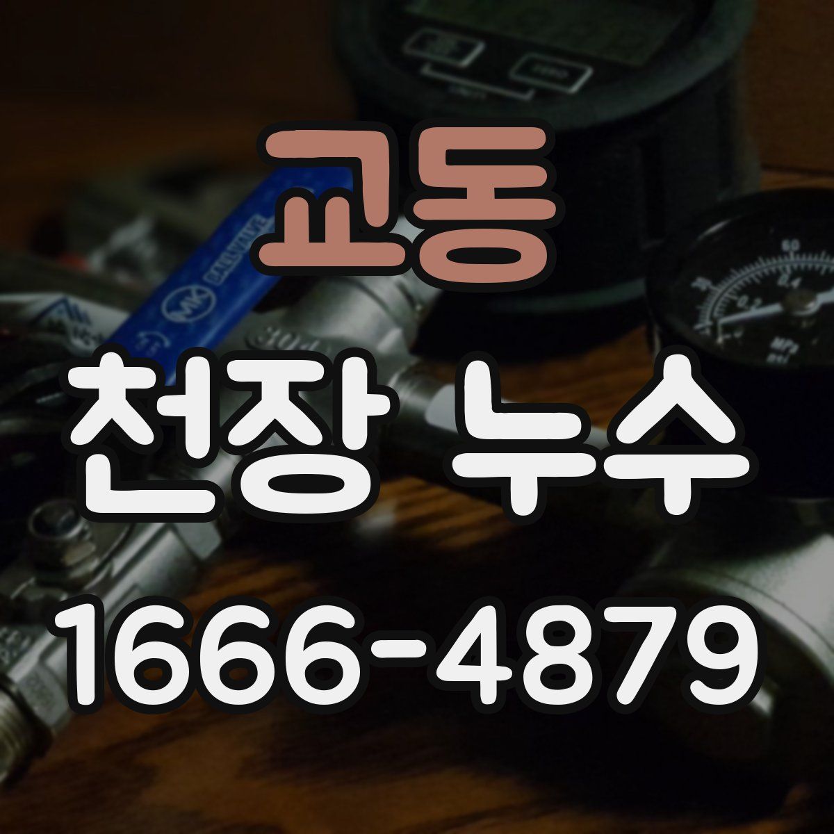 교동 천장 누수