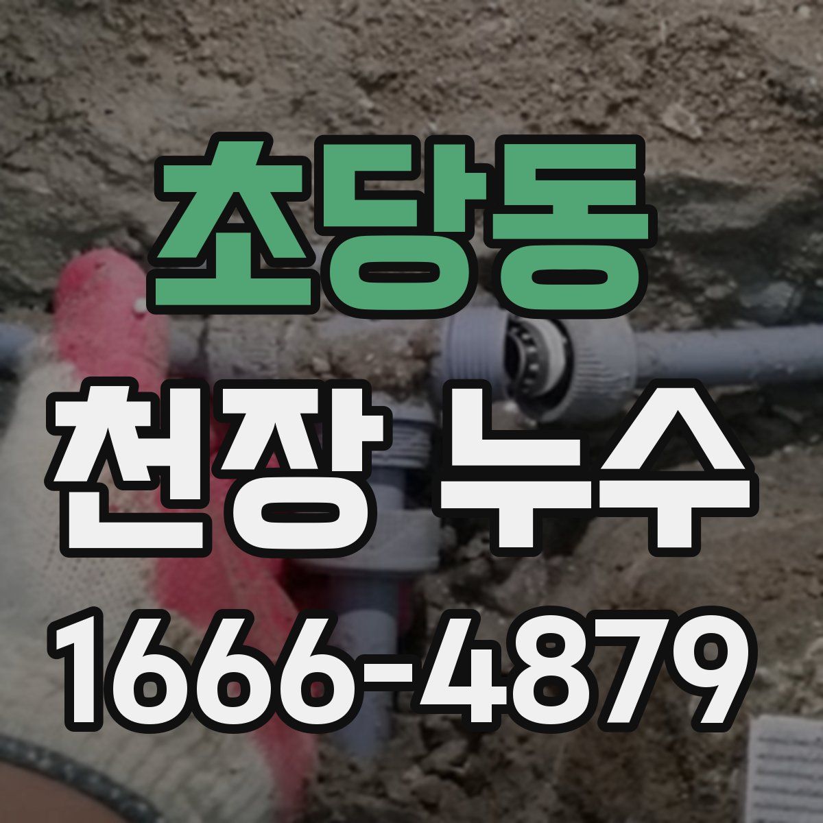 초당동 천장 누수