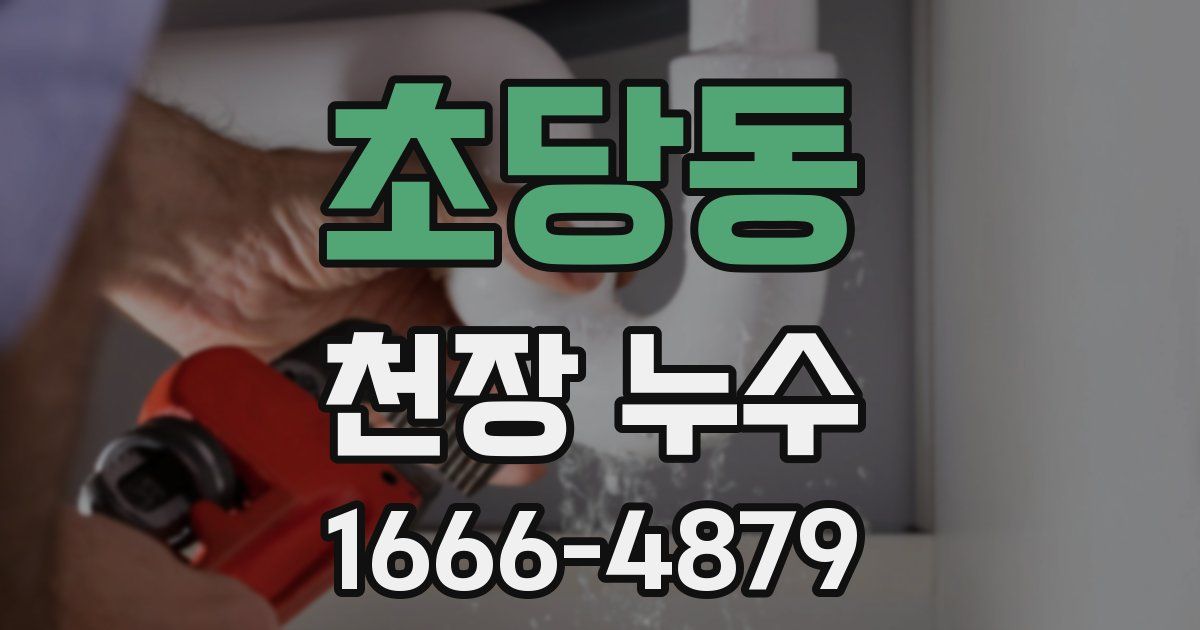 초당동 천장 누수