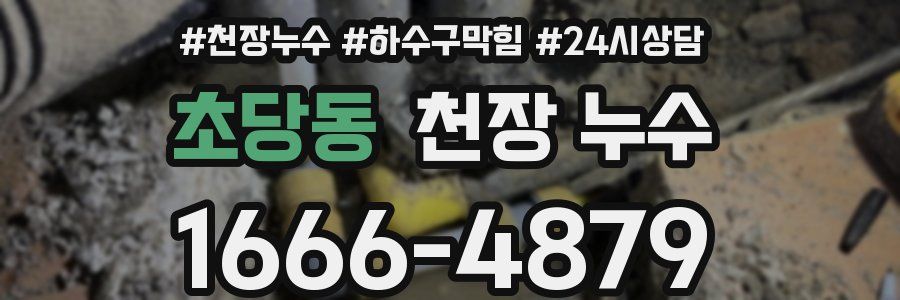 초당동 천장 누수