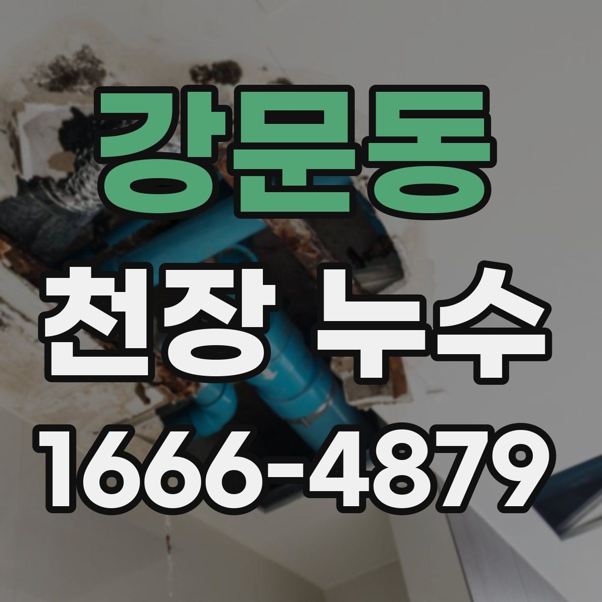 강문동 천장 누수