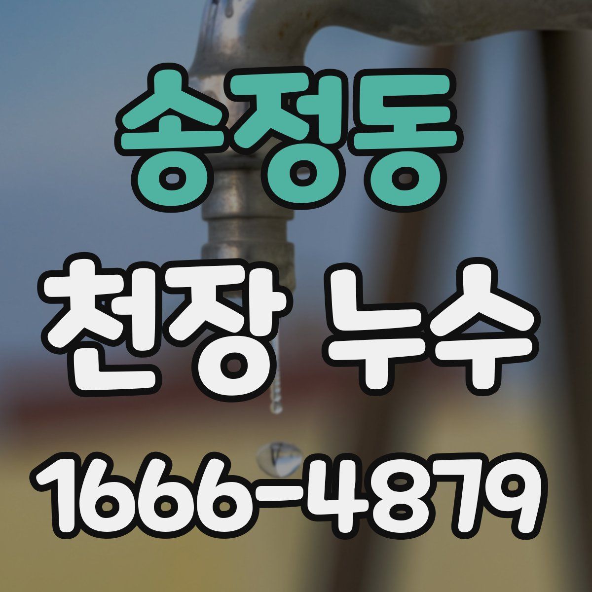 송정동 천장 누수