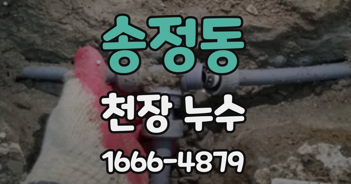 송정동 천장 누수