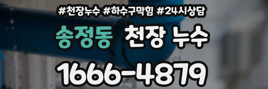 송정동 천장 누수