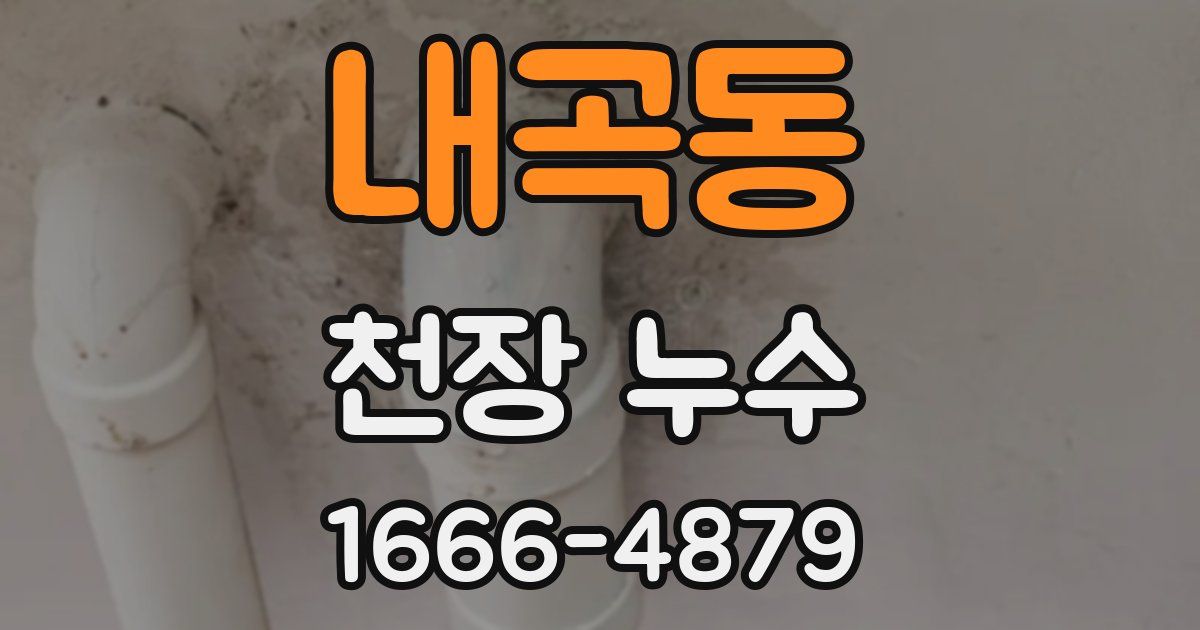 내곡동 천장 누수