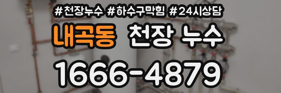 내곡동 천장 누수