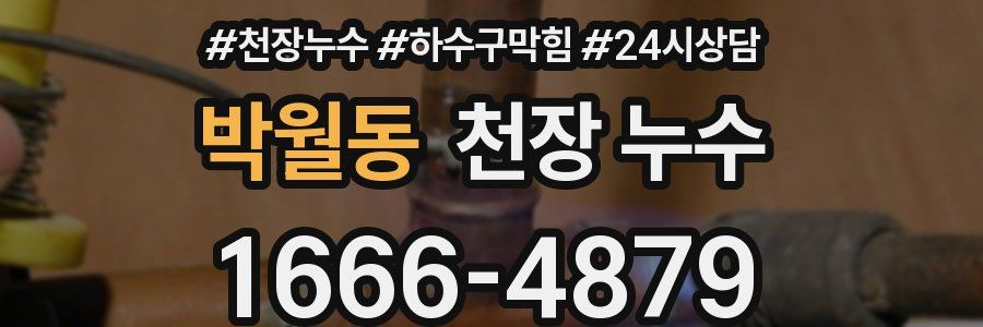 박월동 천장 누수