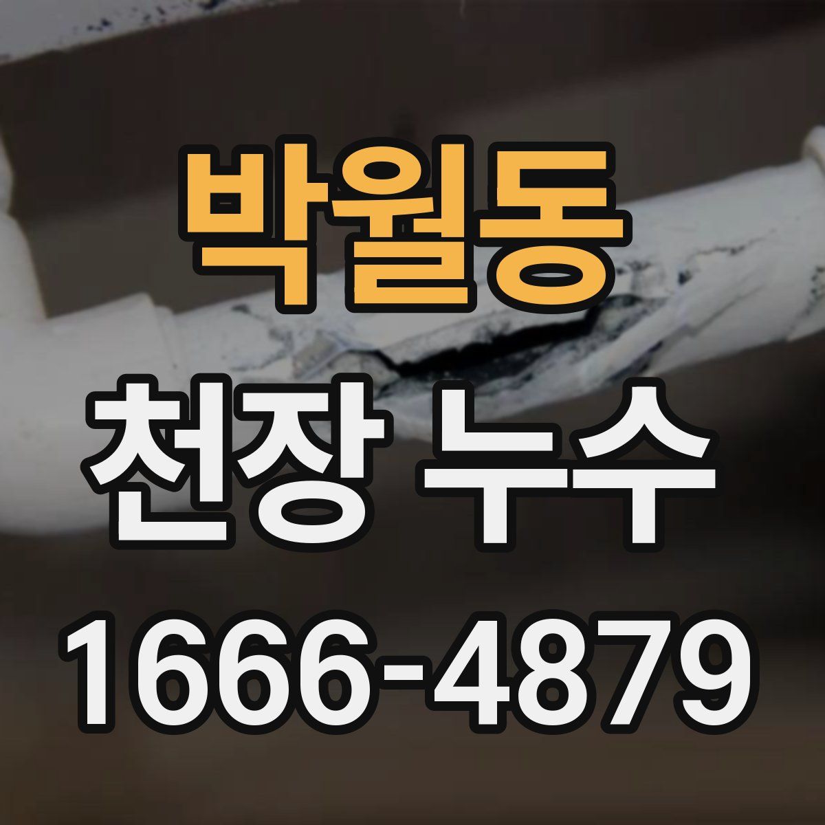 박월동 천장 누수