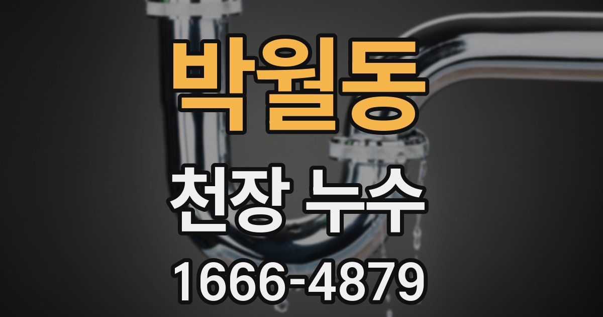 박월동 천장 누수