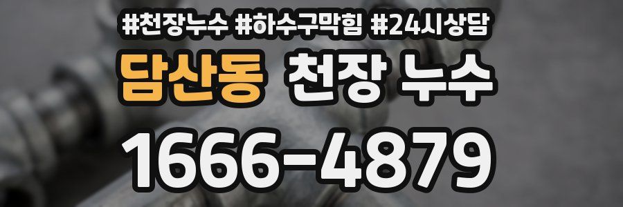 담산동 천장 누수