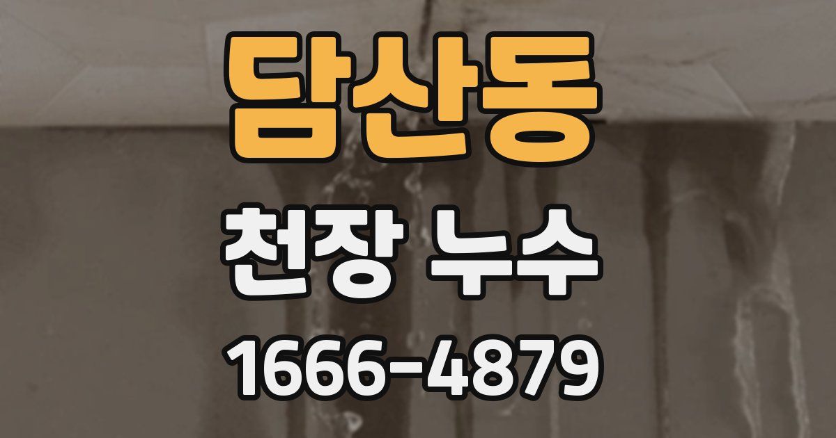 담산동 천장 누수