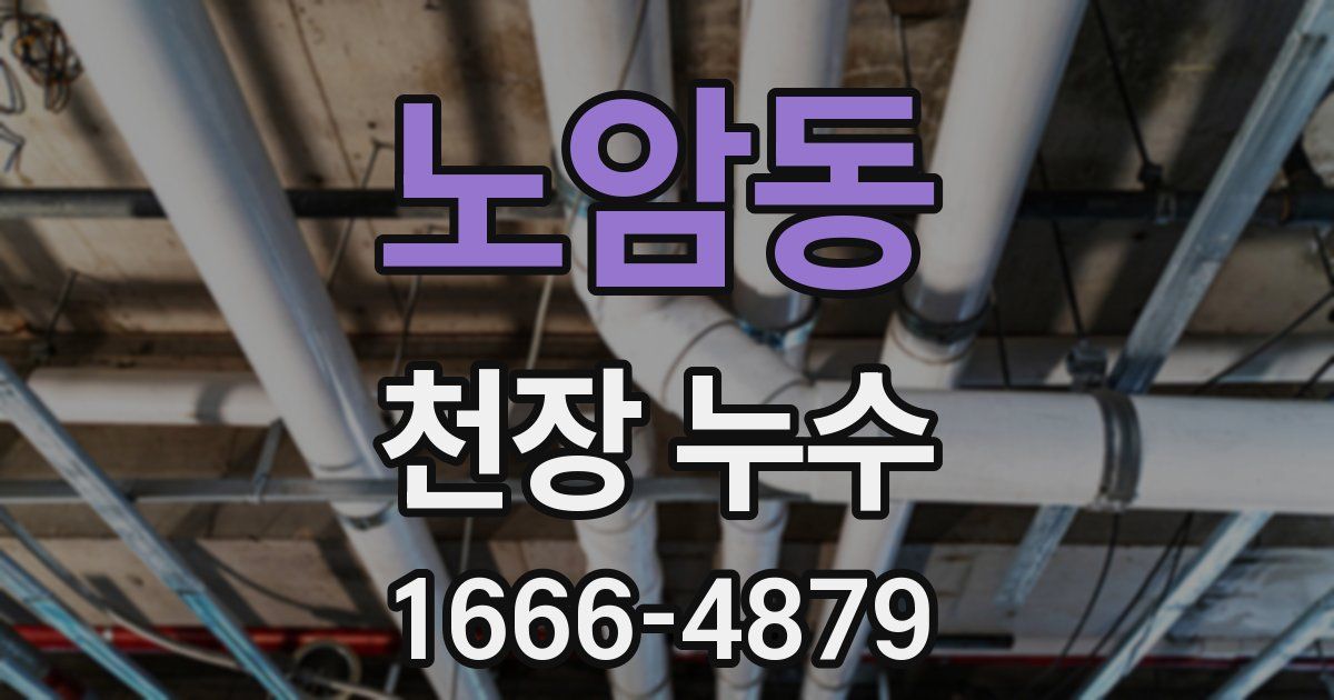 노암동 천장 누수