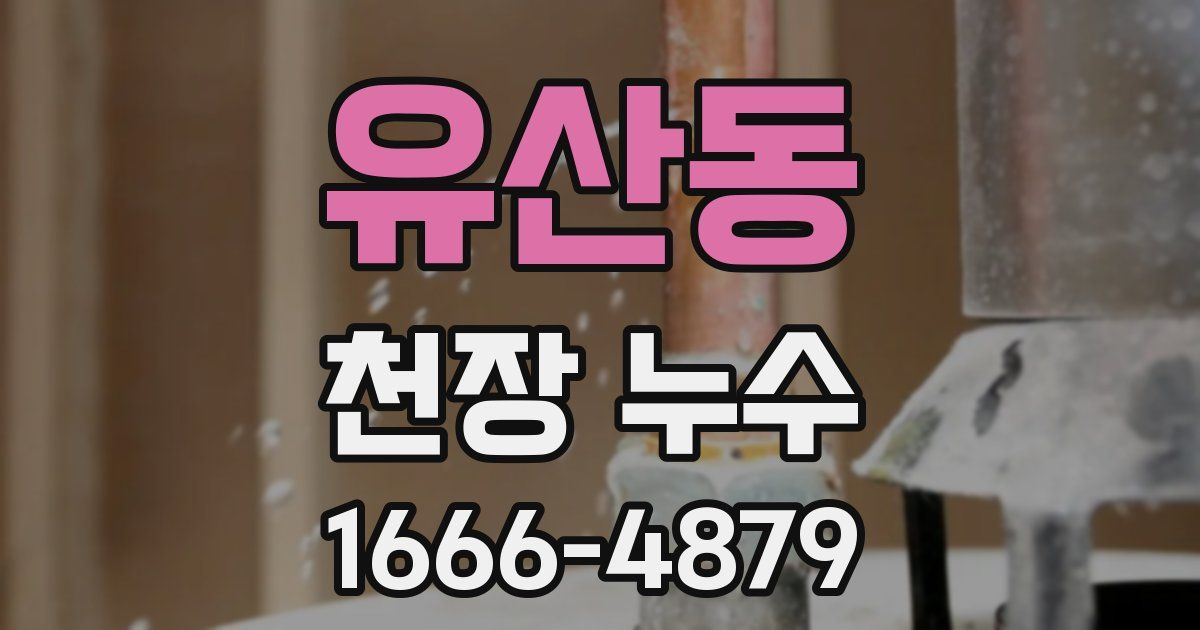 유산동 천장 누수