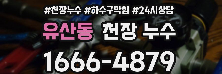 유산동 천장 누수