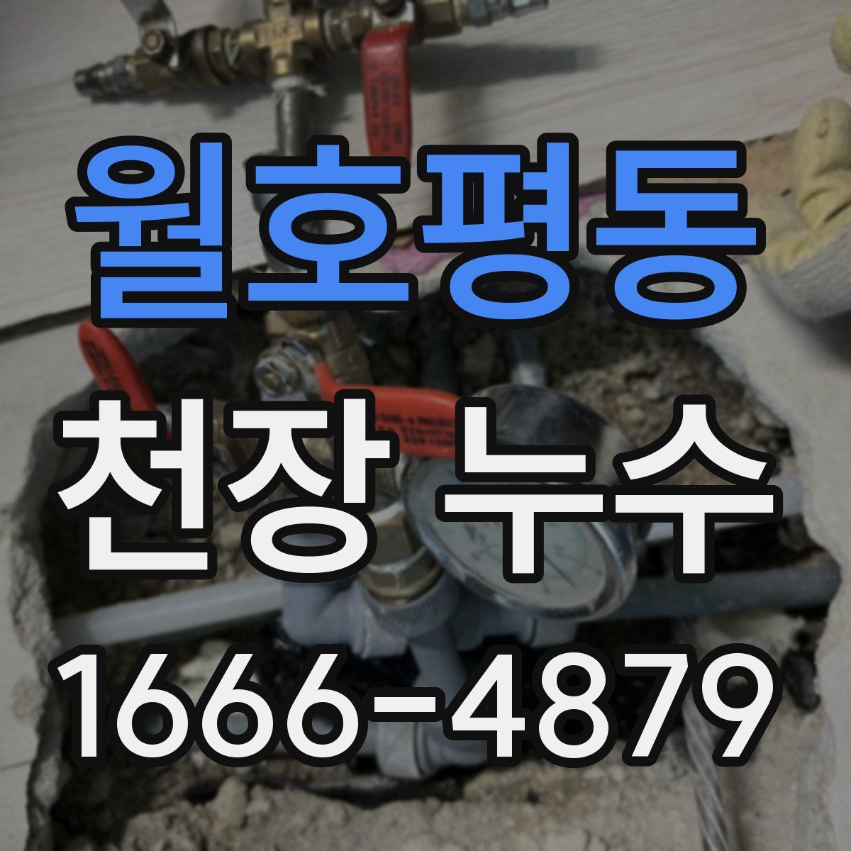 월호평동 천장 누수